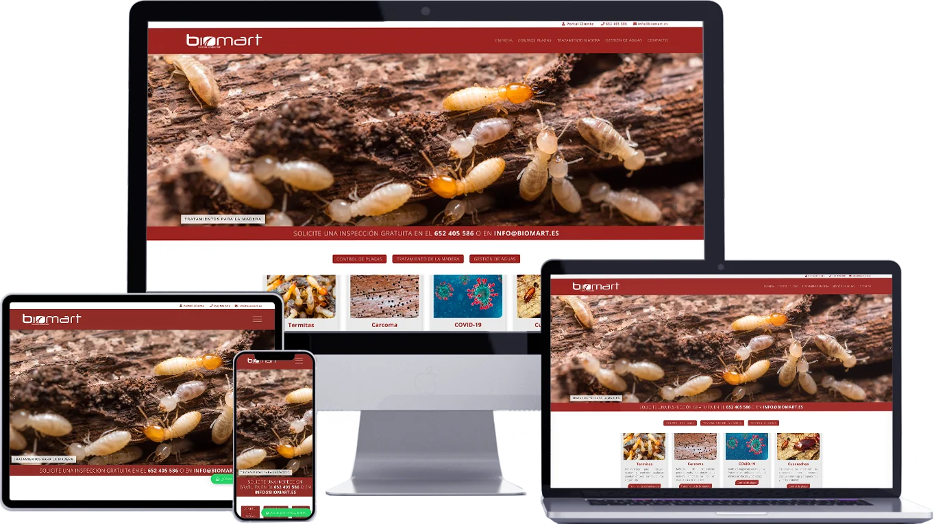 Diseño web responsive Teruel
