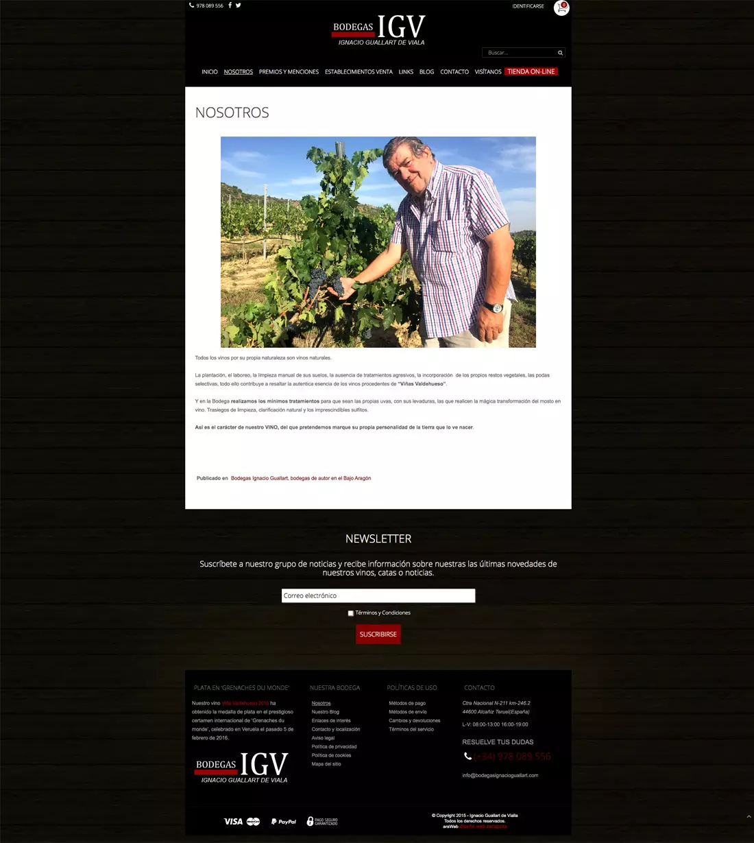 diseño página web Teruel