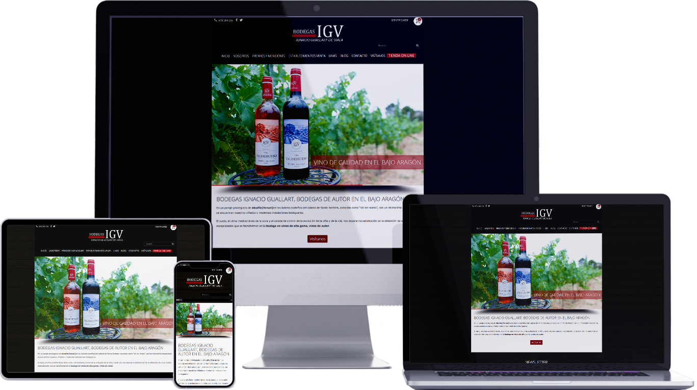 Diseño web responsive Teruel