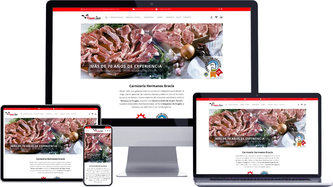 Diseño web responsive Teruel