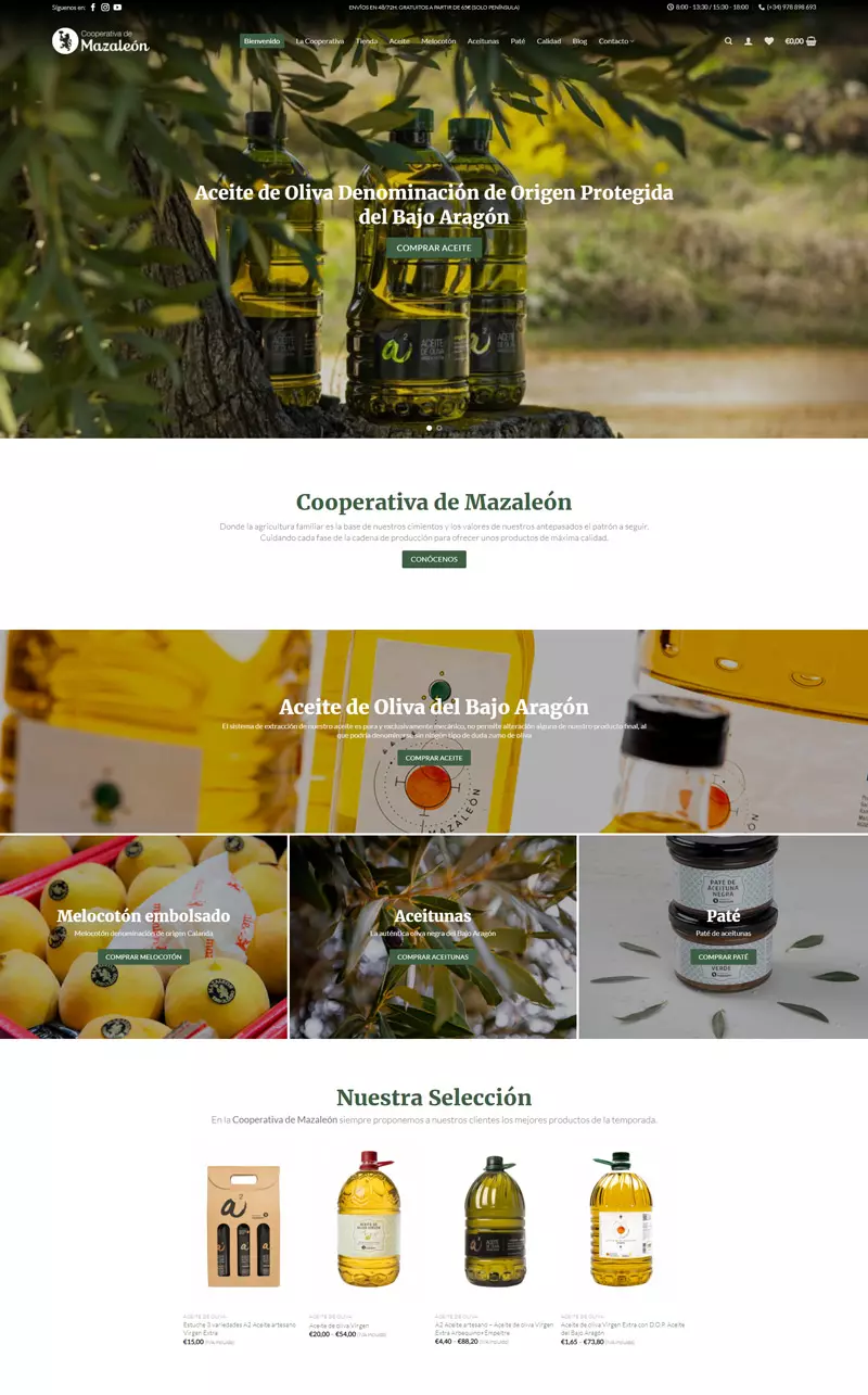 diseño web Teruel