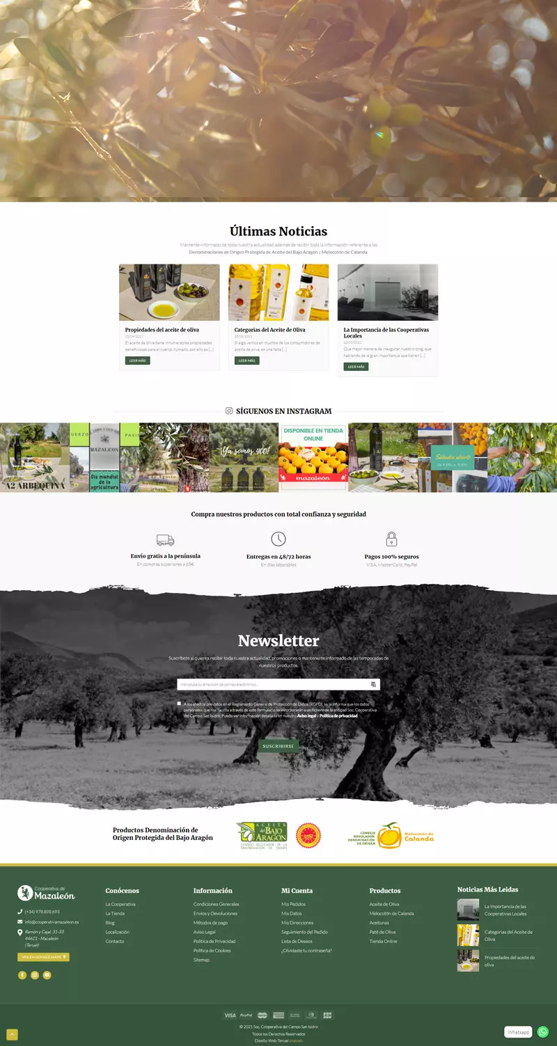 diseño página web Teruel