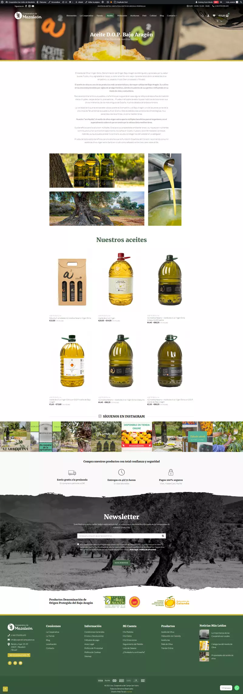 diseño web empresa Teruel