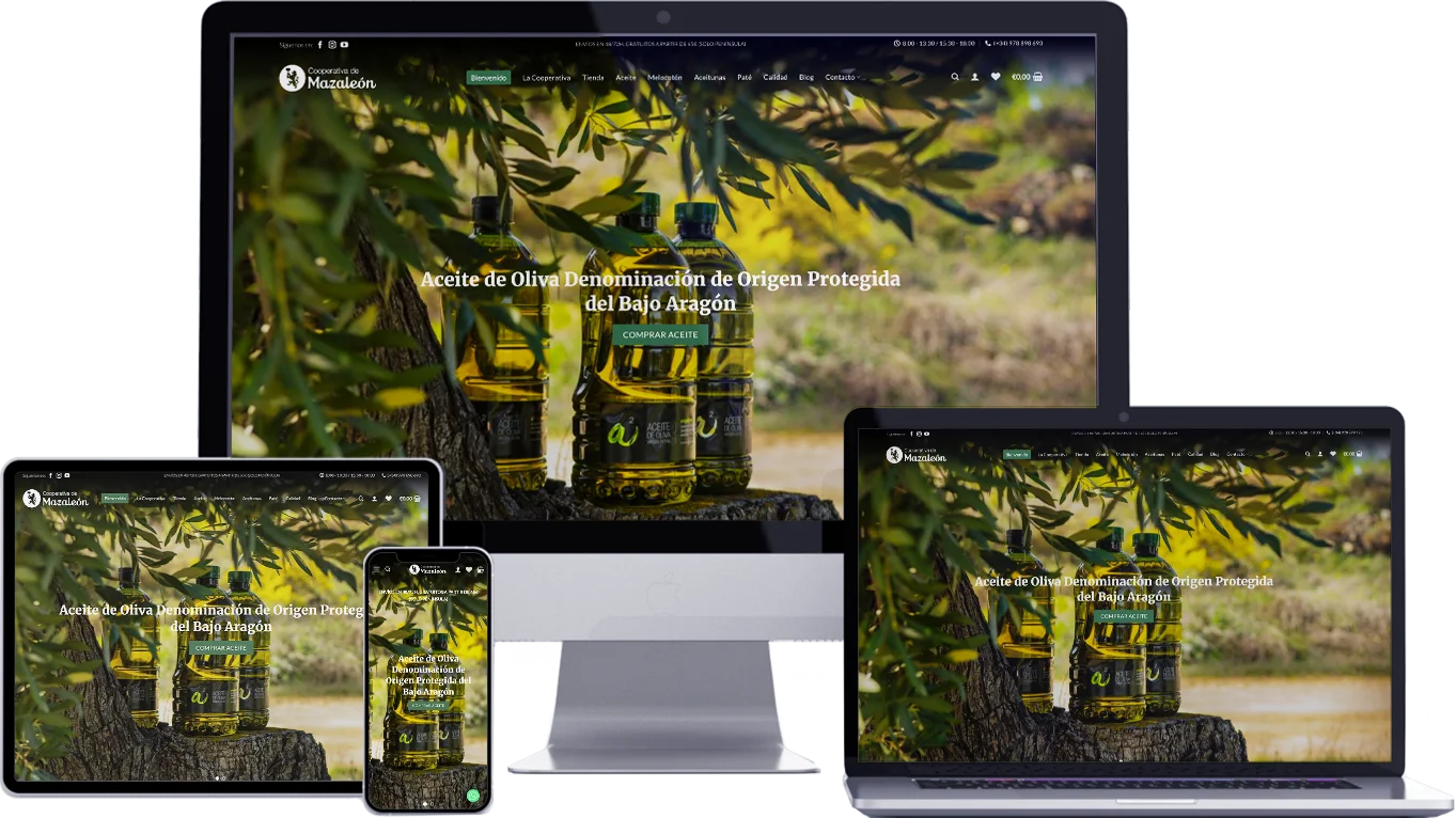 Diseño web responsive Teruel