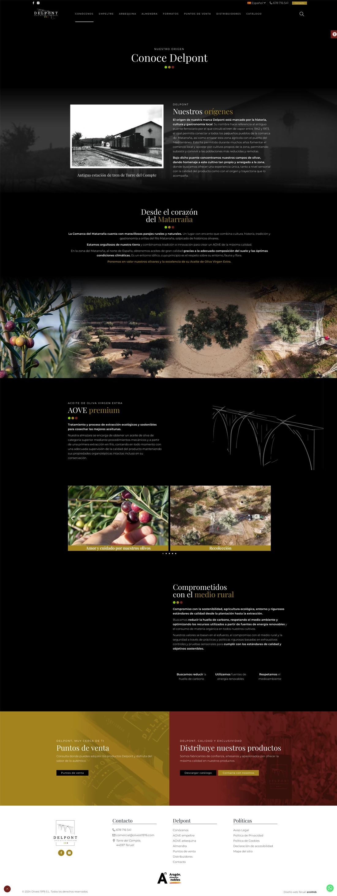 diseño página web Teruel
