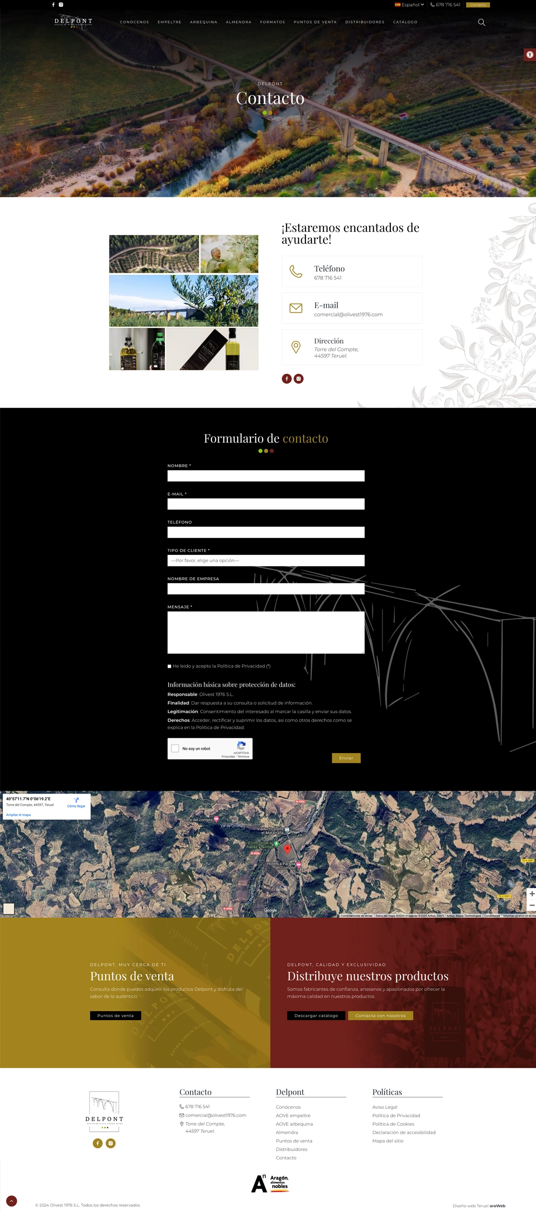 diseño web empresa Teruel