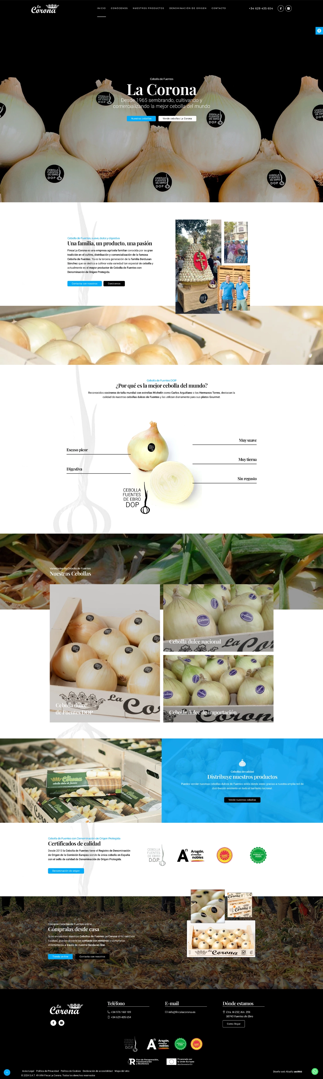 diseño web Teruel