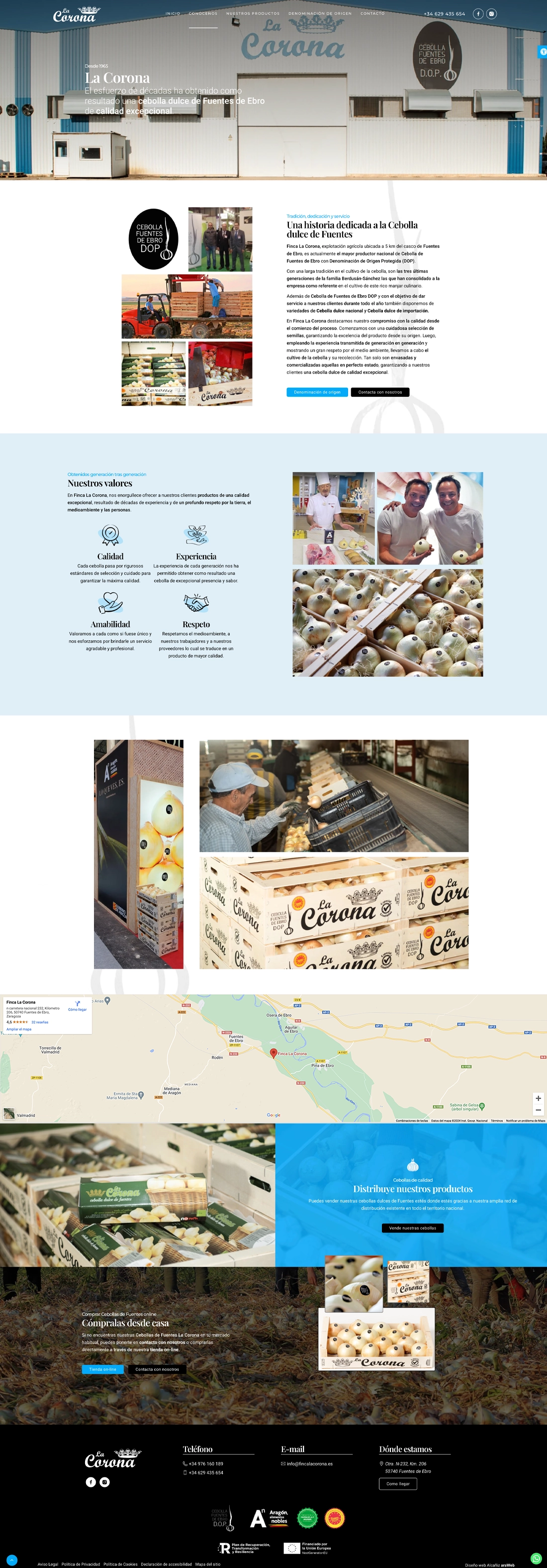 diseño página web Teruel