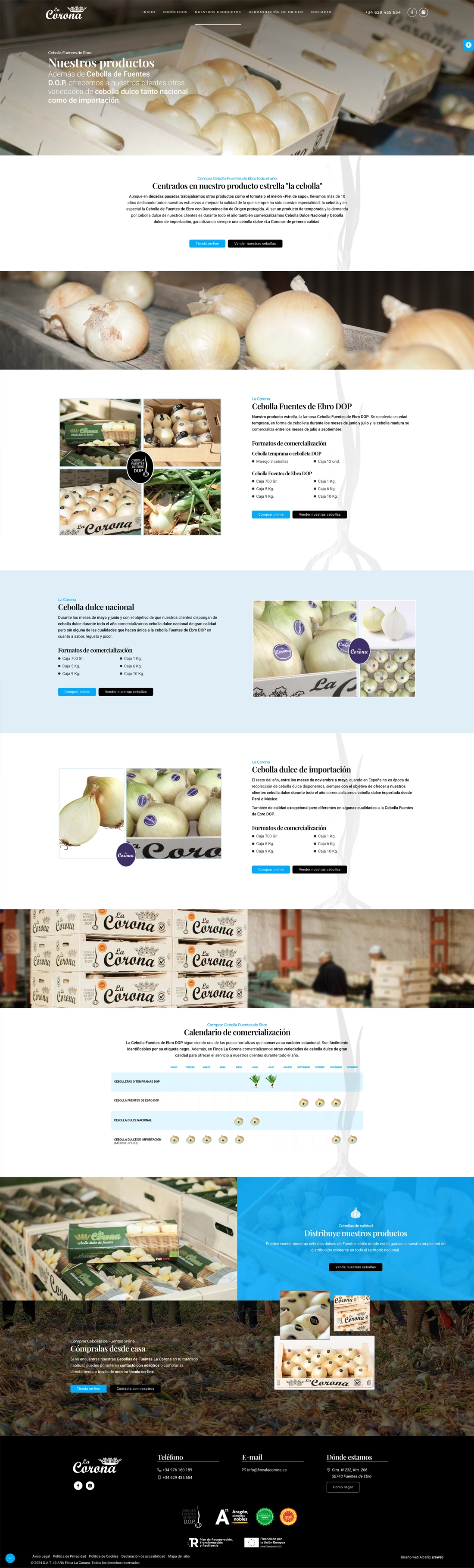 página web corporativa Teruel