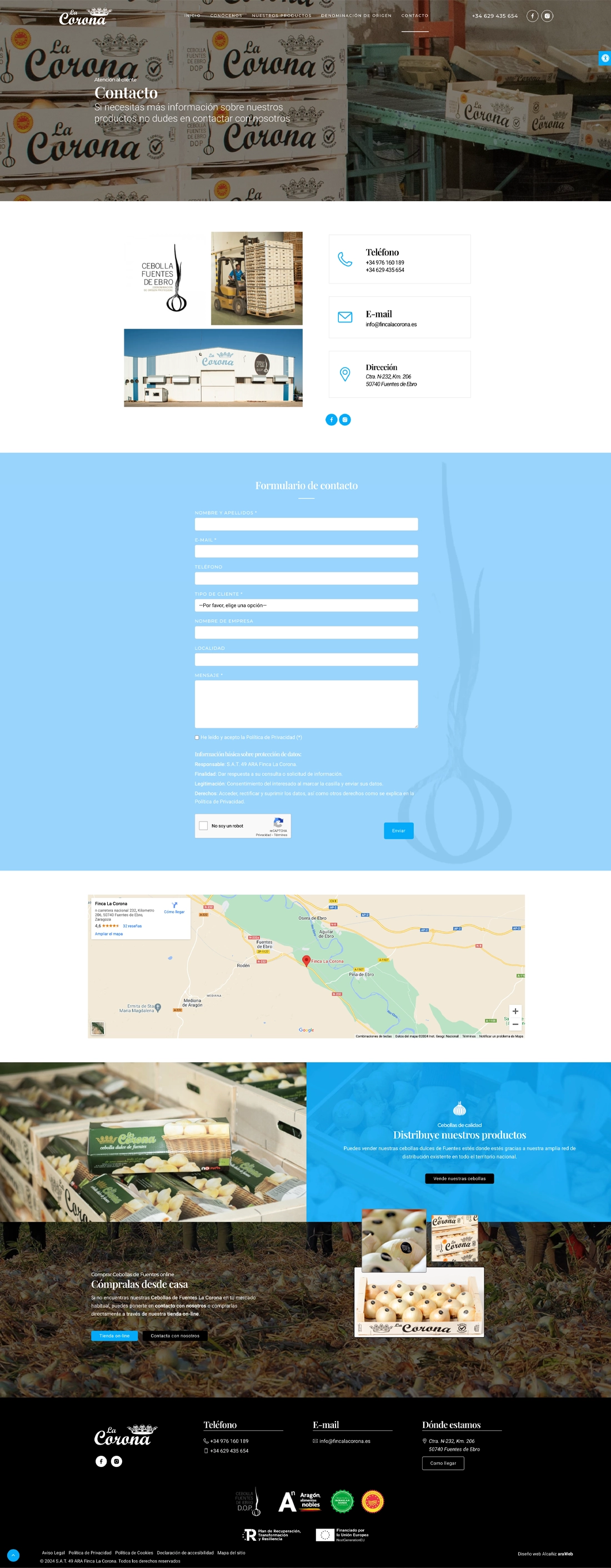 diseño web empresa Teruel
