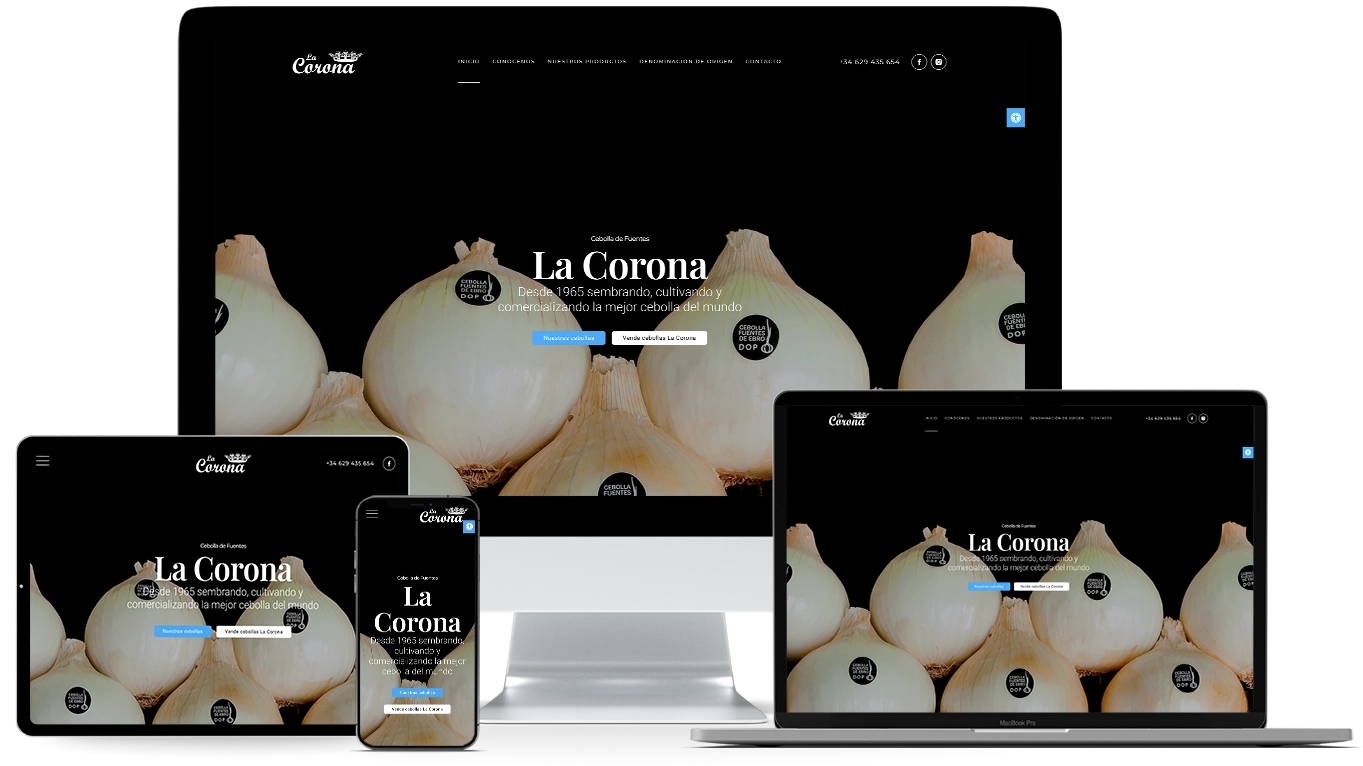 Diseño web responsive Teruel