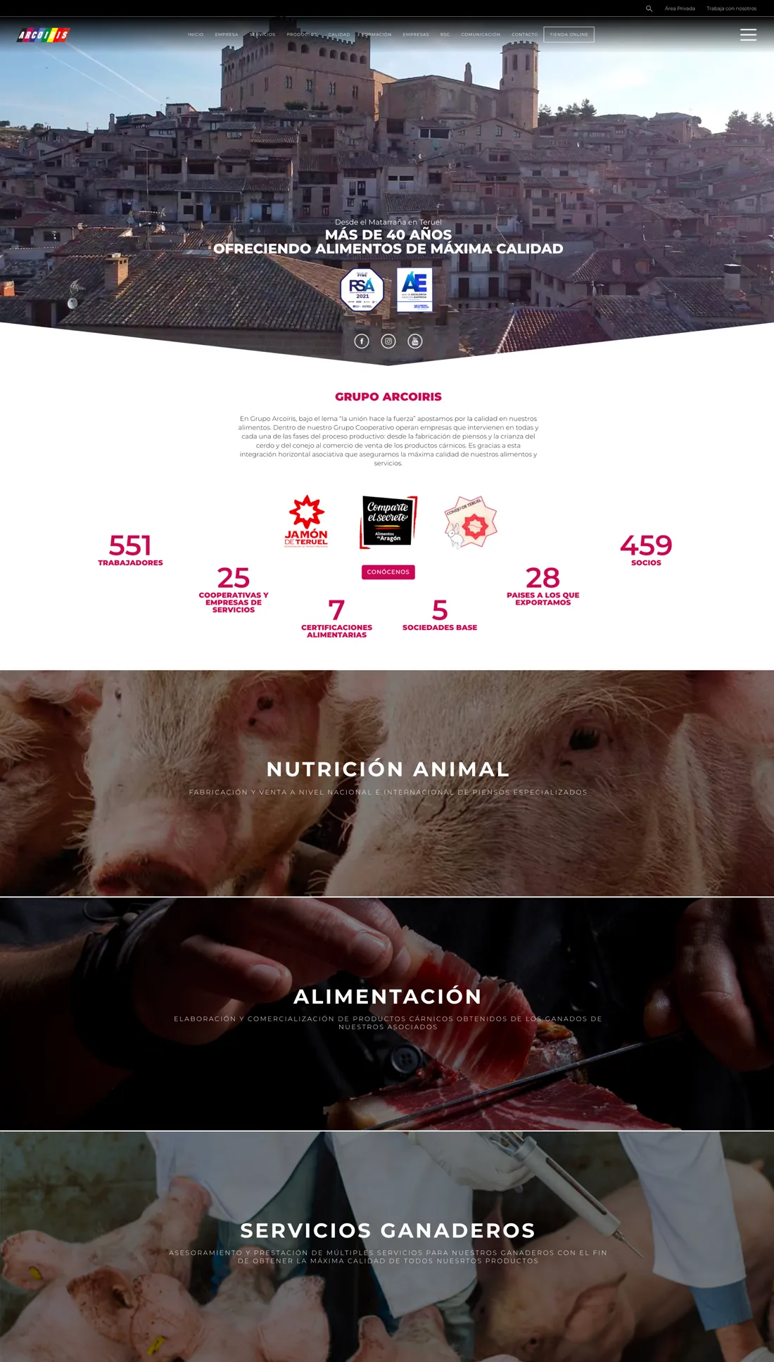diseño web Teruel