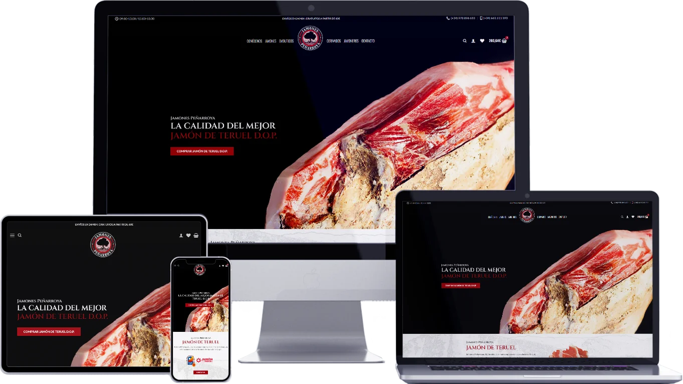 Diseño web responsive Teruel