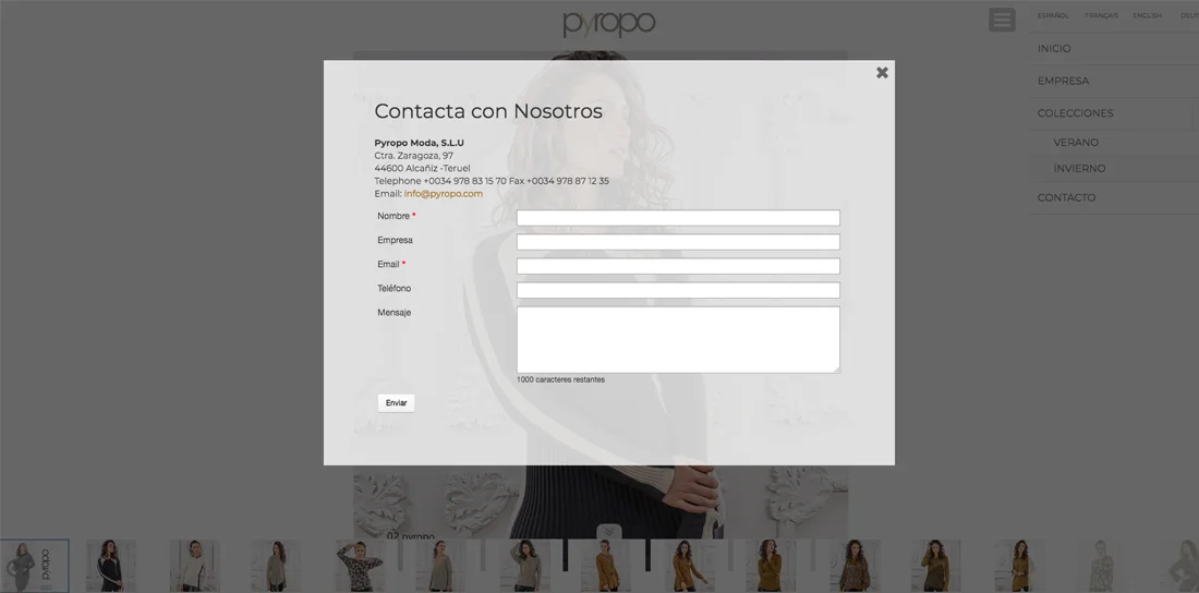 diseño web empresa Teruel