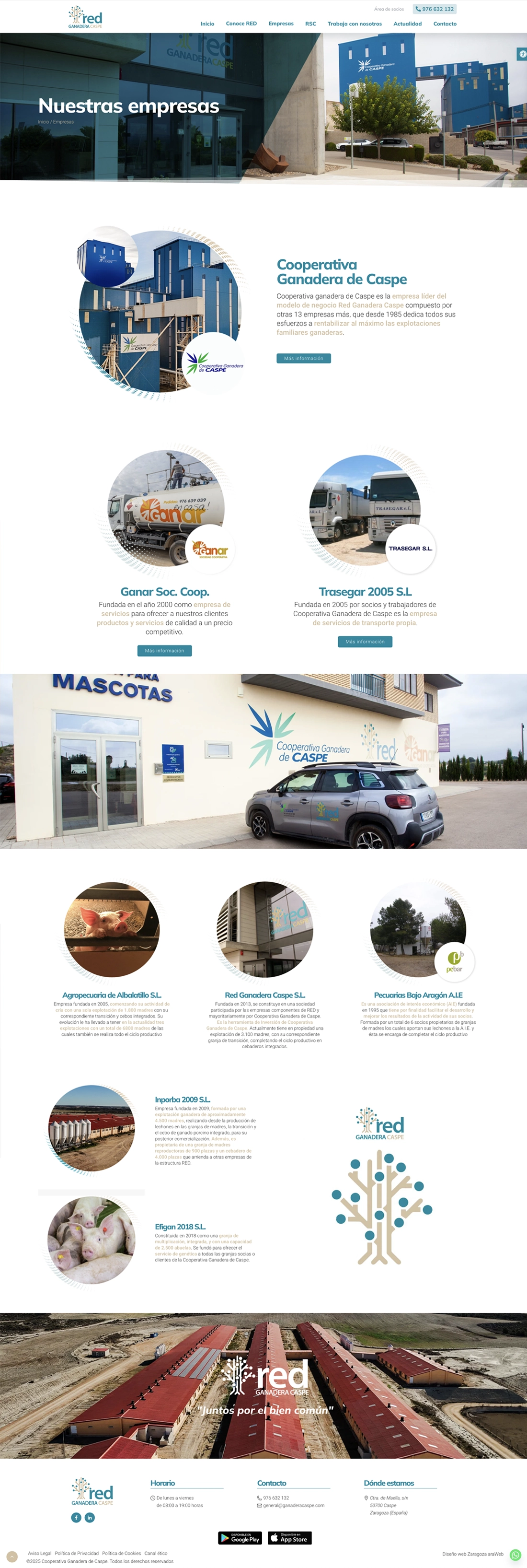 diseño web empresa Teruel