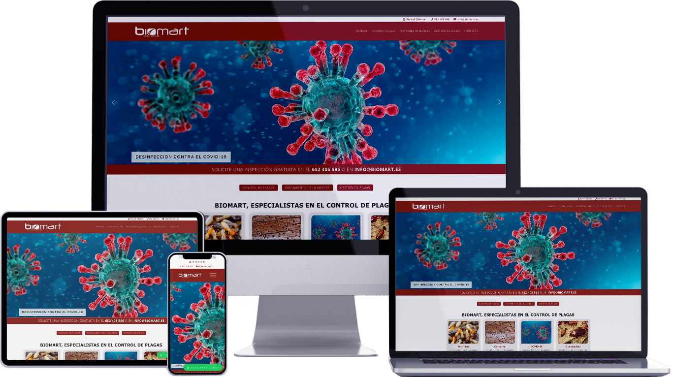 Diseño web responsive Teruel